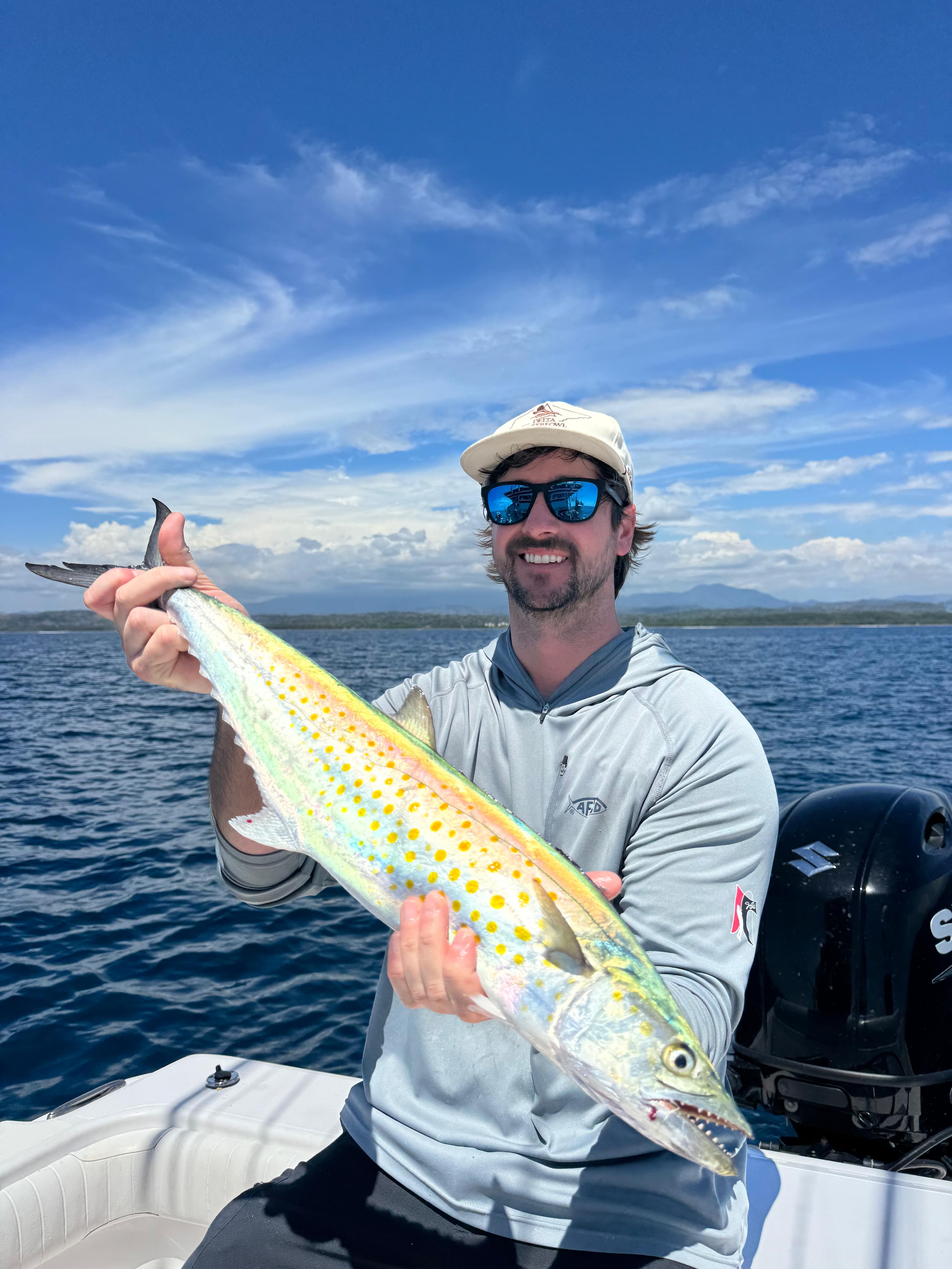 Spanish Mackerel